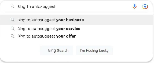 Bing Search Data 1